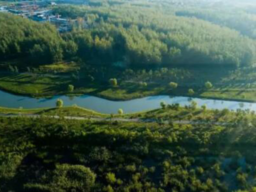 十五里河包河段底泥原位治理修復